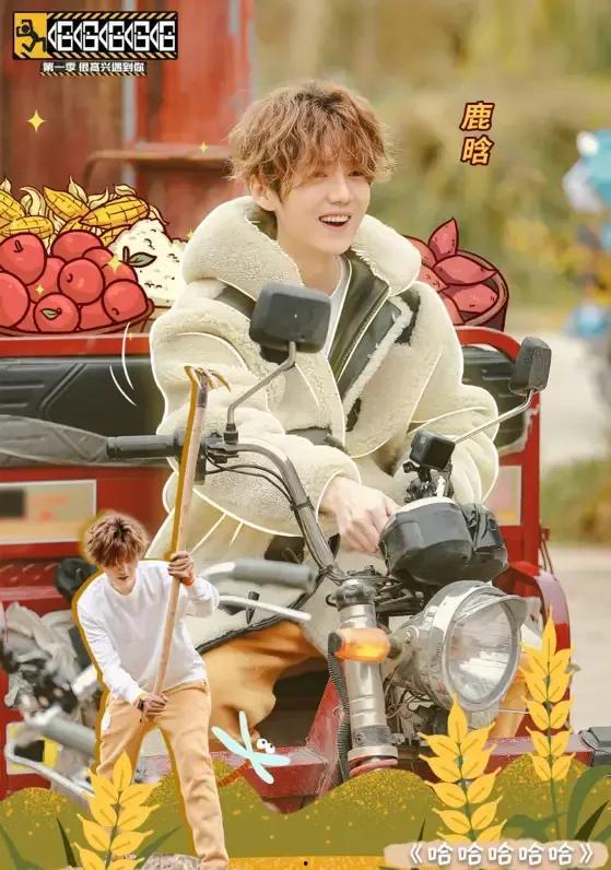 爆料鹿晗催婚是真的吗视频,真相揭秘，明星私生活引发热议